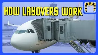 A Basic Guide to Layovers