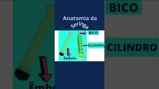 Quais as partes de uma seringa