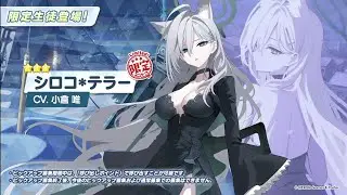 [Blue Archive JP] Shiroko Terror(Limited)