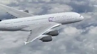Animated Logo
