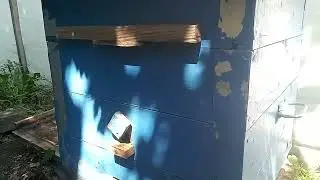 Работы на пасеке 18.06.2023, Самара