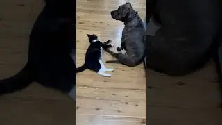 Наши ♥️♥️♥️