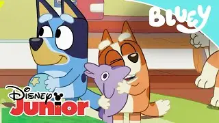 Bluey: Los Momentos Más Entrañables  | RECOPILACIÓN |  @DisneyJuniorES ​