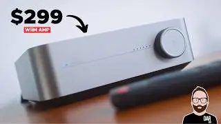 The BIGGEST BARGAIN in all of hi-fi 💥 WiiM AMP review