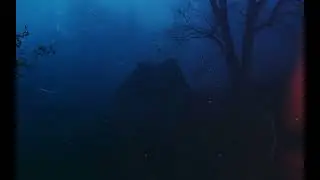 ødyzon - inspiration (𝑆𝑙𝑜𝑤𝑒𝑑 + 𝑅𝑒𝑣𝑒𝑟𝑏)