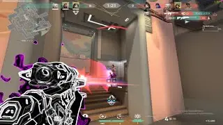 Rosetta 🌹 (A VALORANT MONTAGE)