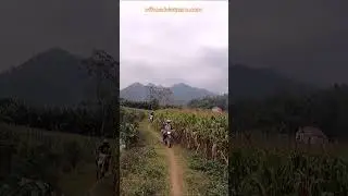 ⚙️ Unexpected Obstacles ⚙️ Vietnam Motorbike Tours #vietnam #motorcycle #motorbike #tours #wayoflife
