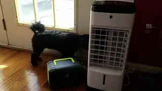 With SKYICE Evaporative Air Cooler, Cooling Your Summer Days!