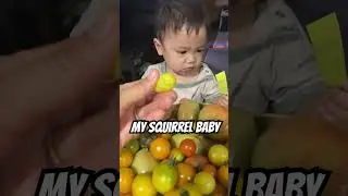 Tomato tasting! 😋 