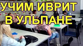 346.Учить иврит в ульпане или это  пустая трата времени?