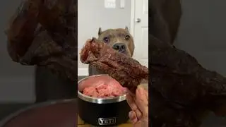 Beef trachea