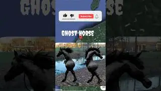 OMG 😱 i found giant Ghost Horse on Google map and google earth #earth #googleearth #viral #scary