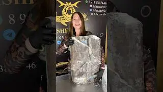 Палтус☎️89186387446 