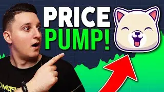 KISHU INU BIG UPDATE ! HUGE PRICE PUMP ! KISHU INU PRICE PREDICTION 2021