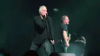 Buitres - Frío Oscuro (En Vivo)