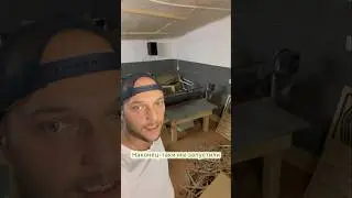 Мы растем 🫶 #безкотаижизньнета #когтеточки #томмикэт #безкотаижизньнета