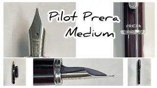 Revisit Series - Four year old Pilot Prera - Medium
