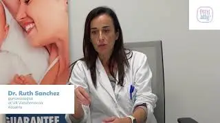 Can embryo implant the same day as the embryo transfer?