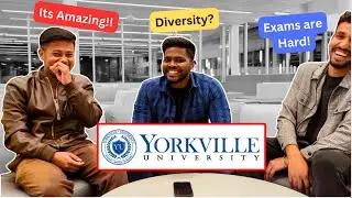 Yorkville University Experience Review | Easy or Difficult? |Exams Pattern? | Pros, Cons & Much More