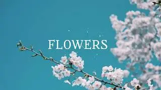 [FREE FOR PROFIT] Acoustic Guitar Type Beat "Flowers" Justin Bieber Guitar Pop Type Beat