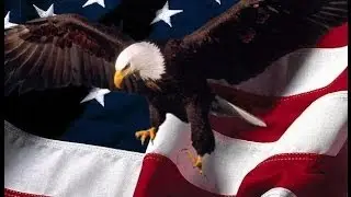 Shall not be infringed