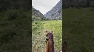 Природа Алтая