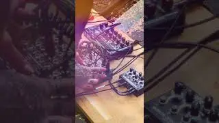 VAMP ACID vs. BASTL INSTRUMENTS