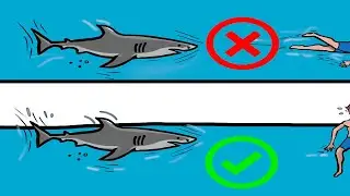 12 Techniques on How to Survive Wild Animal Attacks