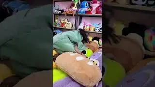 Will you like this turtle shell plush pillow?