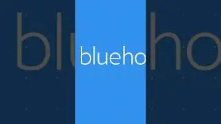 How do I speed up a WordPress website? #shorts #bluehost #wordpress