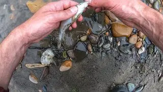 Рыбалка На Реке Сунжа