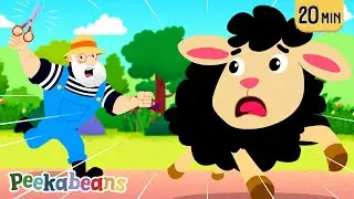 Baa Baa Black Sheep, Have You Any Wool? | Animal Songs & Nursery Rhymes @PeekabeansKidsSongs