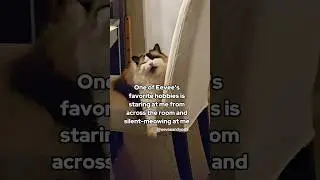 The teeniest tiniest mightiest roar