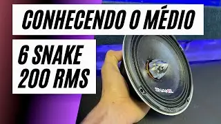 PRIMEIRAS IMPRESSÕES DO MÉDIO SNAKE 6 POLEGADAS 200 RMS