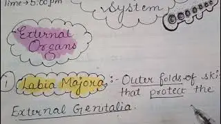 #_best_education_aruaggarwal#femalereproductivesystem#femalereproductionnotes#biologynotesaru