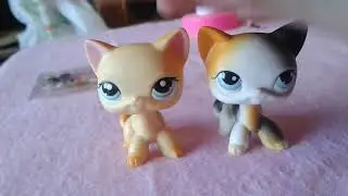 Новые LPS  стоячки(европейские кошечки) ЗА КОПЕЙКИ! 