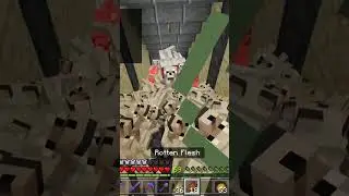 1000 Dogs vs Wither