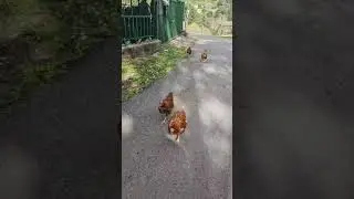 Me los llevo a casa :)