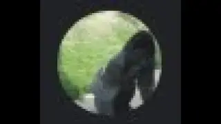 В главных ролях Discord