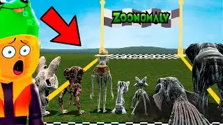 ¿CUAL PERSONAJE de ZOONOMALY es EL MAS RAPIDO? CARRERAS en Garry's Mod 🐸 SIMBA