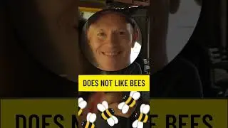 Bees! Bees! Bees!  #musiccover #thepianoguys #bees