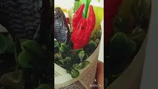 Мыльный букет. Для мужчин.