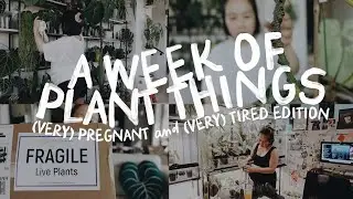 a week of plant things #26 - wishlist plants unboxing, berry harvesting, watering & repotting!