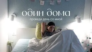 спокойный выходной дома: проведи день со мной. уборка, пересадка цветов, рисование