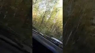 покатушки