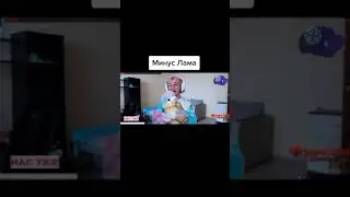 Даша Корейка убийца ламы
