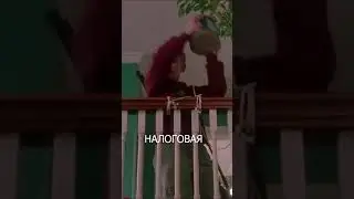 Как вам видео? Жиза?)