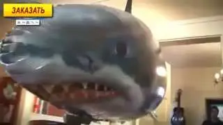 Летающая рыба Акула Air Swimmer Shark