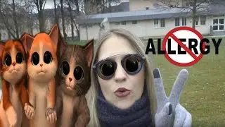 Аллергия на КОШЕК. Что делать? Как избавиться?