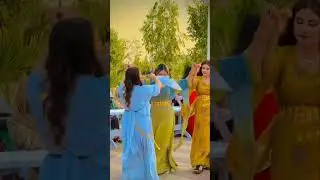 Te greda desmal u gıras #trending #kurdish #wedding #halay #shorst #shortvideo #short